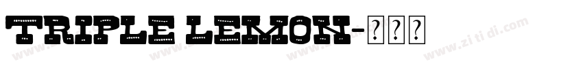 TRIPLE LEMON字体转换